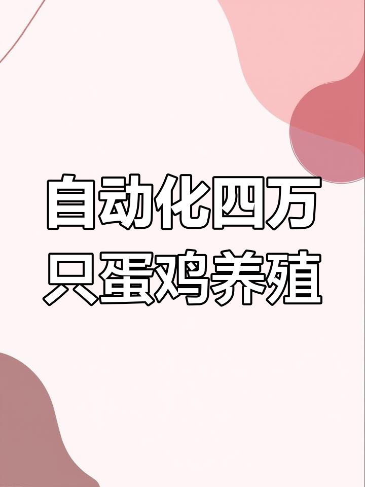 四万六千只蛋鸡养殖设备全解析：自动化、智能环控一应俱全