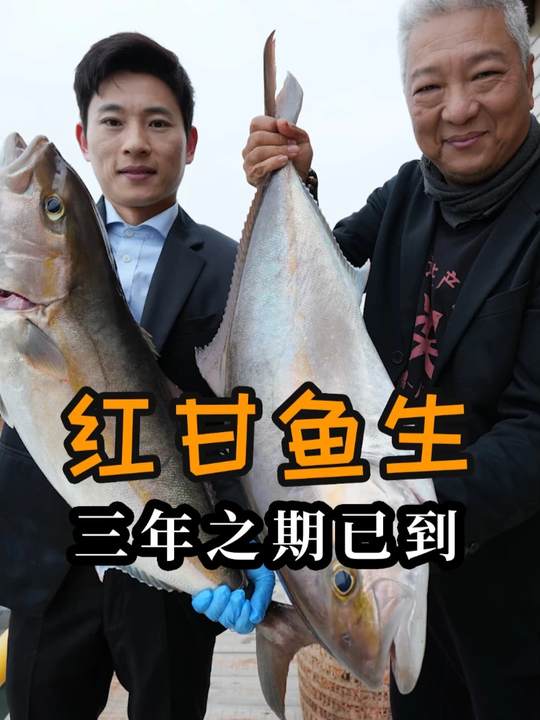 红甘做鱼生，这年味够正统！