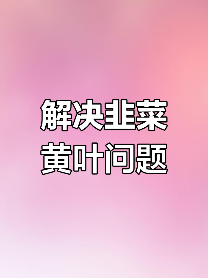 韭菜黄叶干尖原因及防治方法,避免高温危害