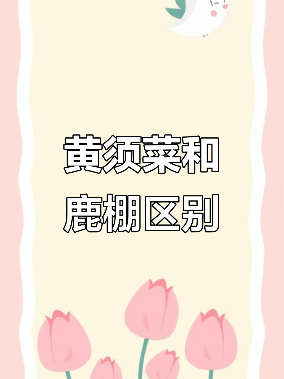 黄须菜与卤蓬的区别,哪个能吃?