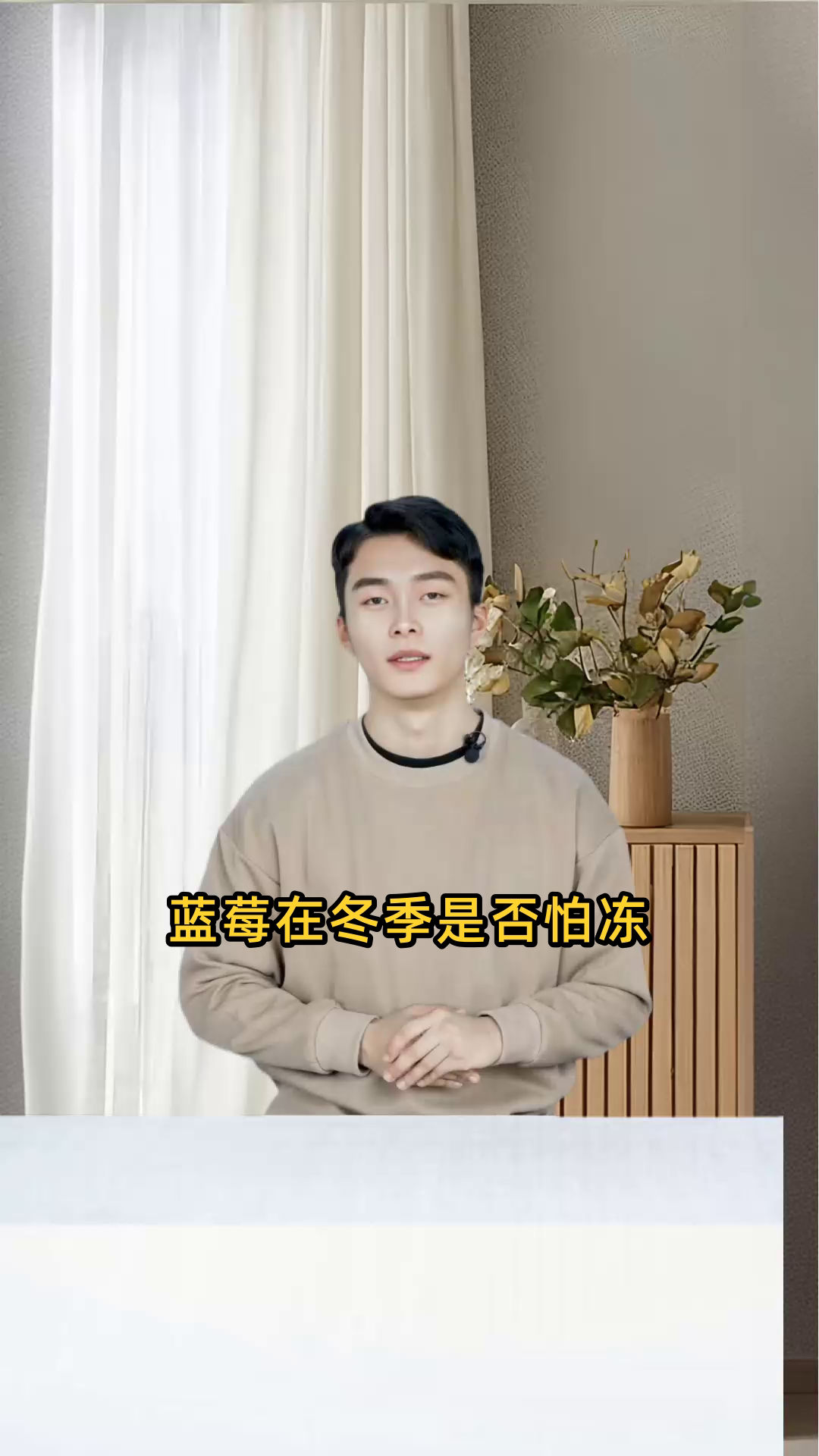 蓝莓在冬天是否怕冻?需要进行特别的保暖措施吗?