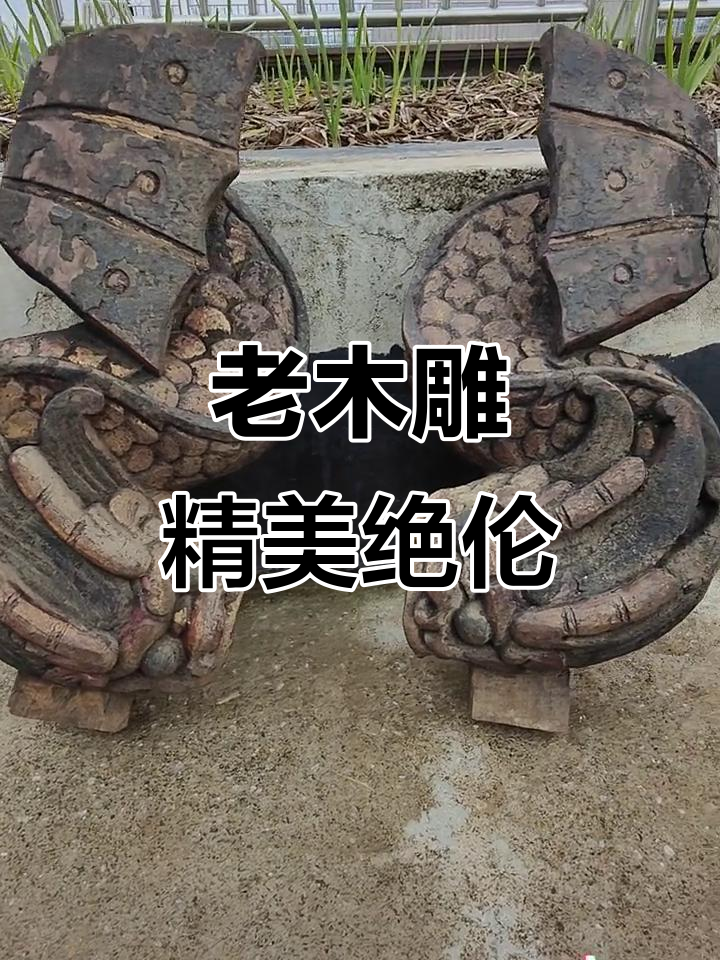 古木雕细腻生动,鱼放能栩栩如生