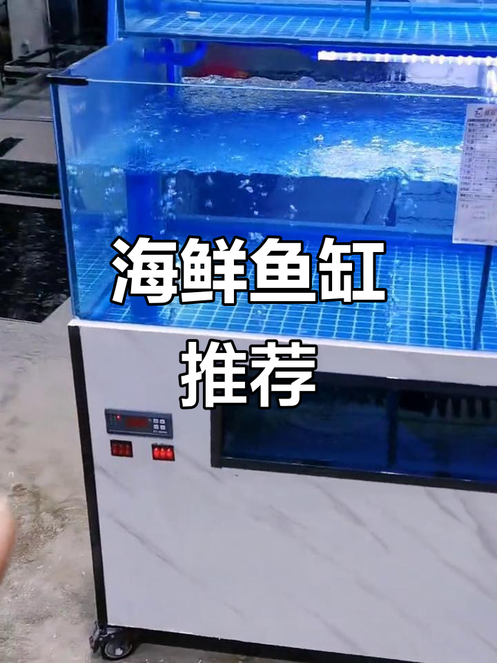 海鲜鱼缸设计,饭店老板必看!