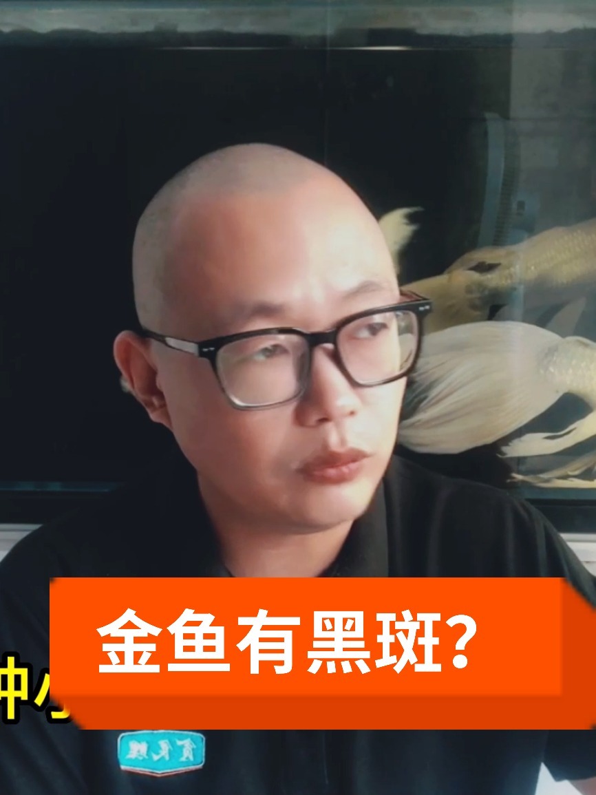 金鱼体表发黑,有黑斑怎么回事?