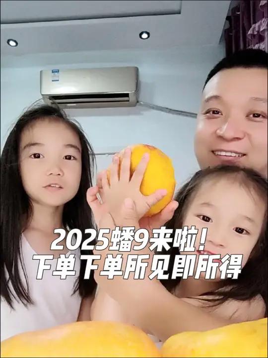 单果6两到一斤,又大又甜的肉质果,吃一口停不下来!香甜爆汁!