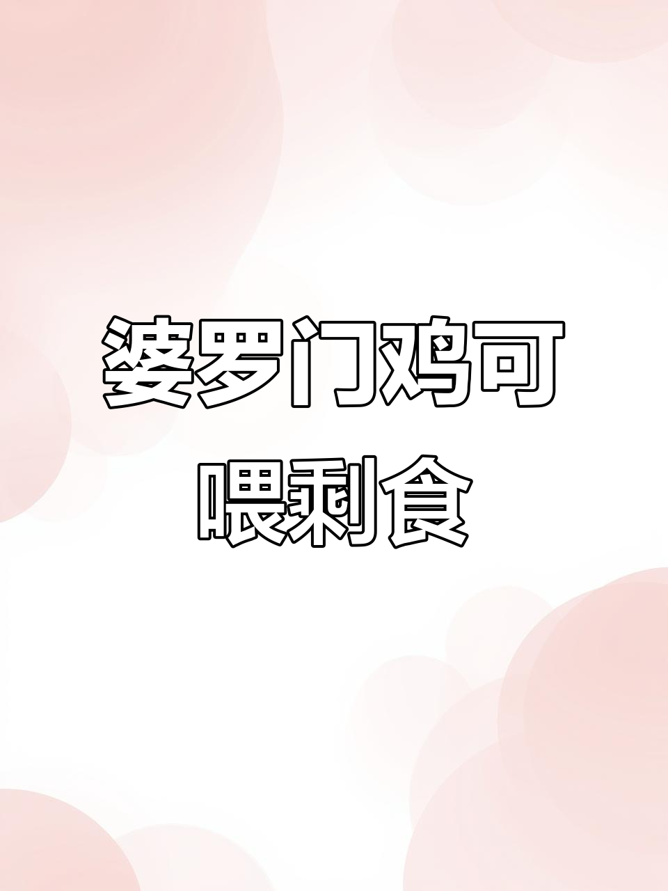 婆罗门鸡苗发货,剩菜剩饭也能养大