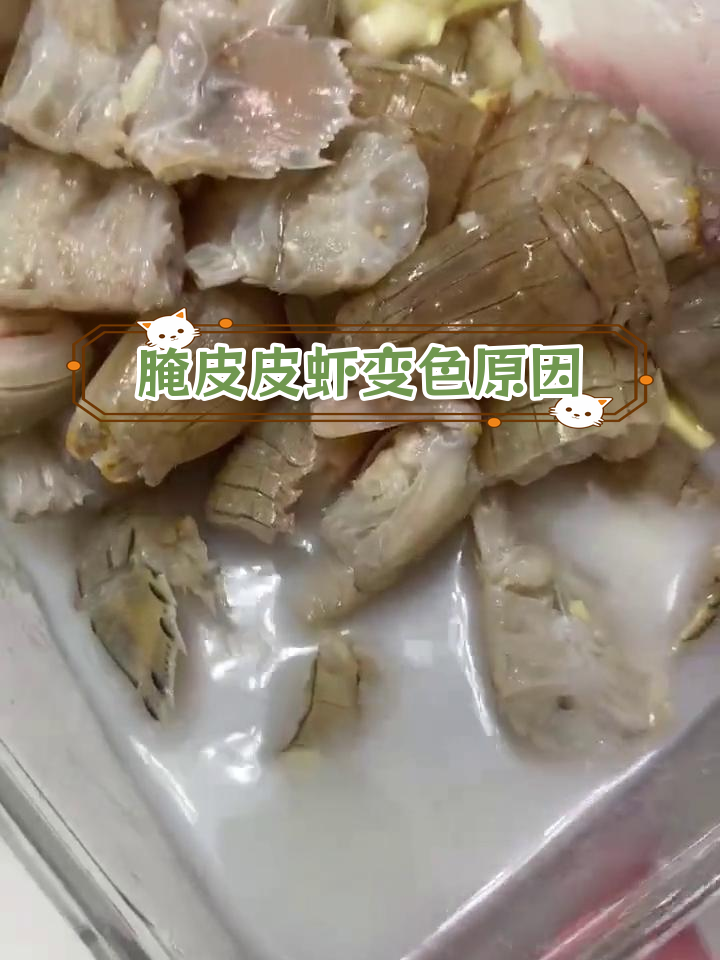 腌制皮皮虾五小时后,汁液变白的原因揭秘