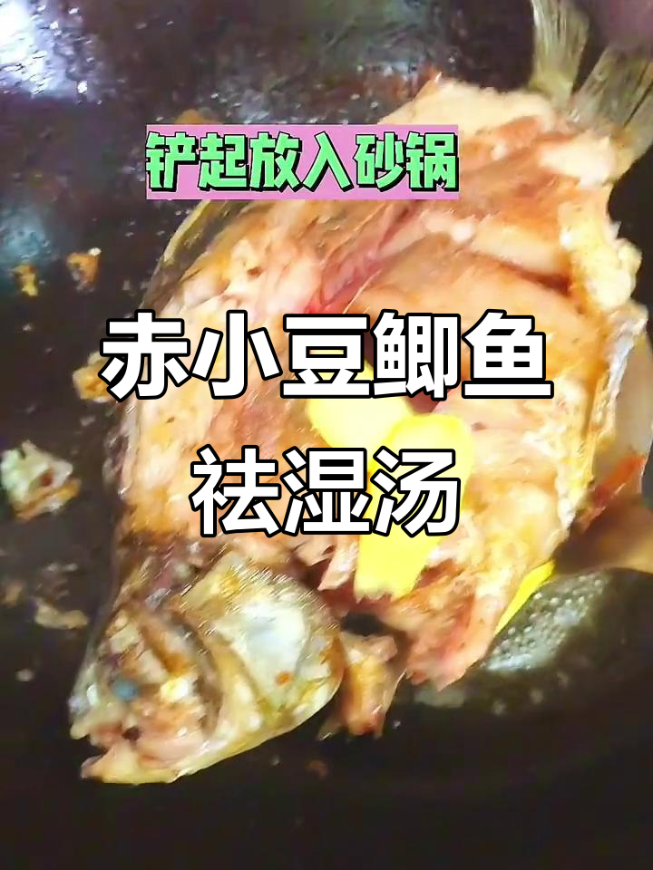 赤小豆鲫鱼汤,祛湿又美味
