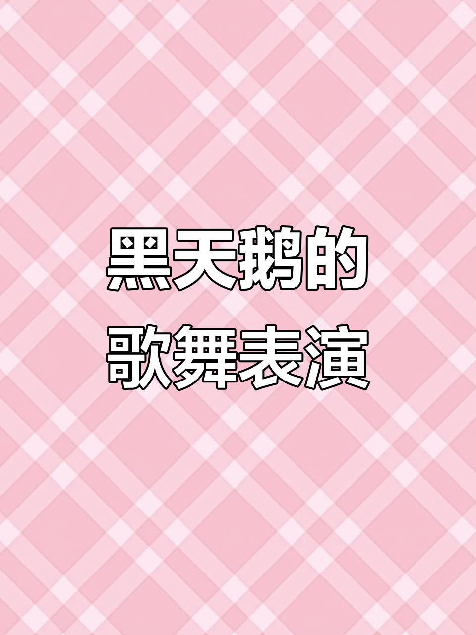 黑天鹅的歌唱与舞蹈,竹竿拉网惊险瞬间