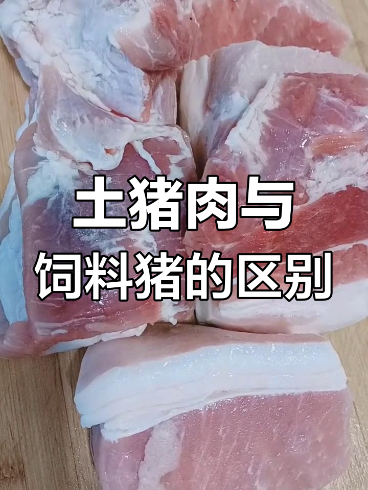 如何区分土猪肉和饲料猪?从喂养时间和肉质特征入手