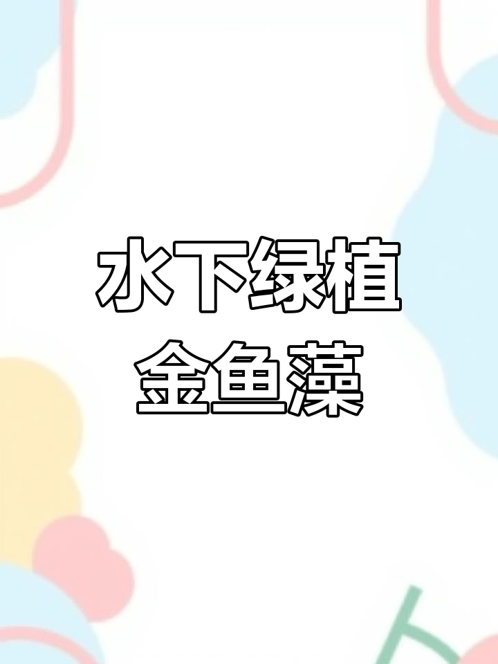 金鱼藻:水生植物的多重价值