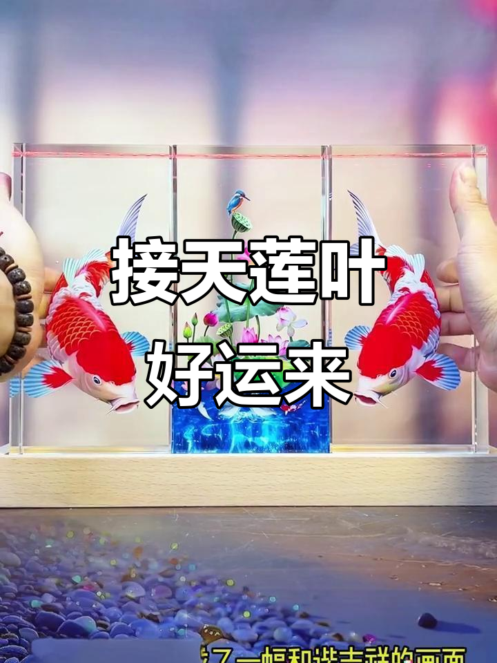 荷花锦鲤摆件,寓意幸福与美好未来