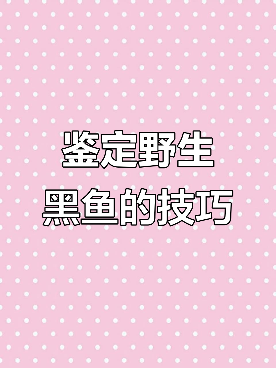 如何辨别野生黑鱼？肤色、身材都有讲究
