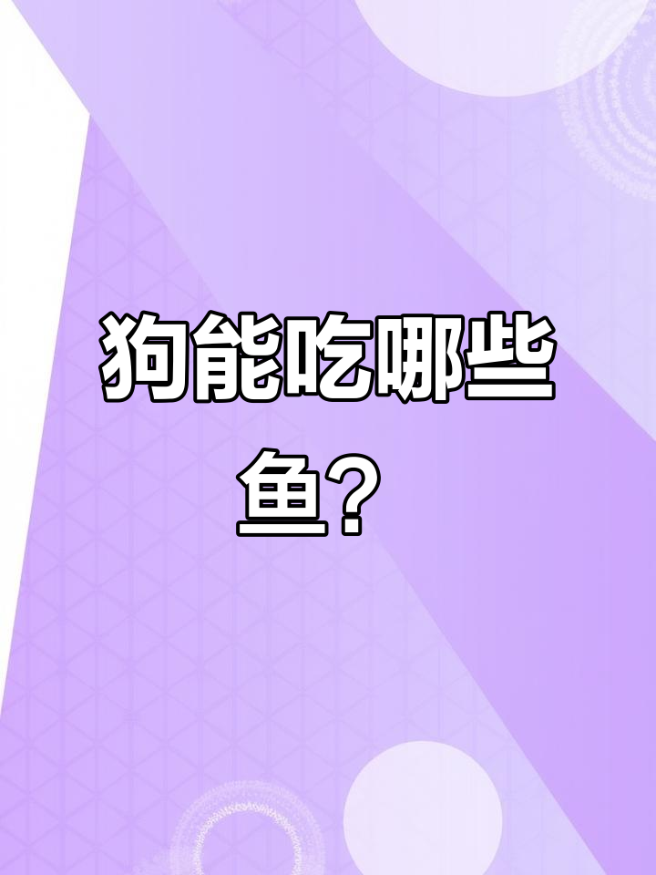 狗狗吃鱼的好处与注意事项，如何挑选和处理鱼肉