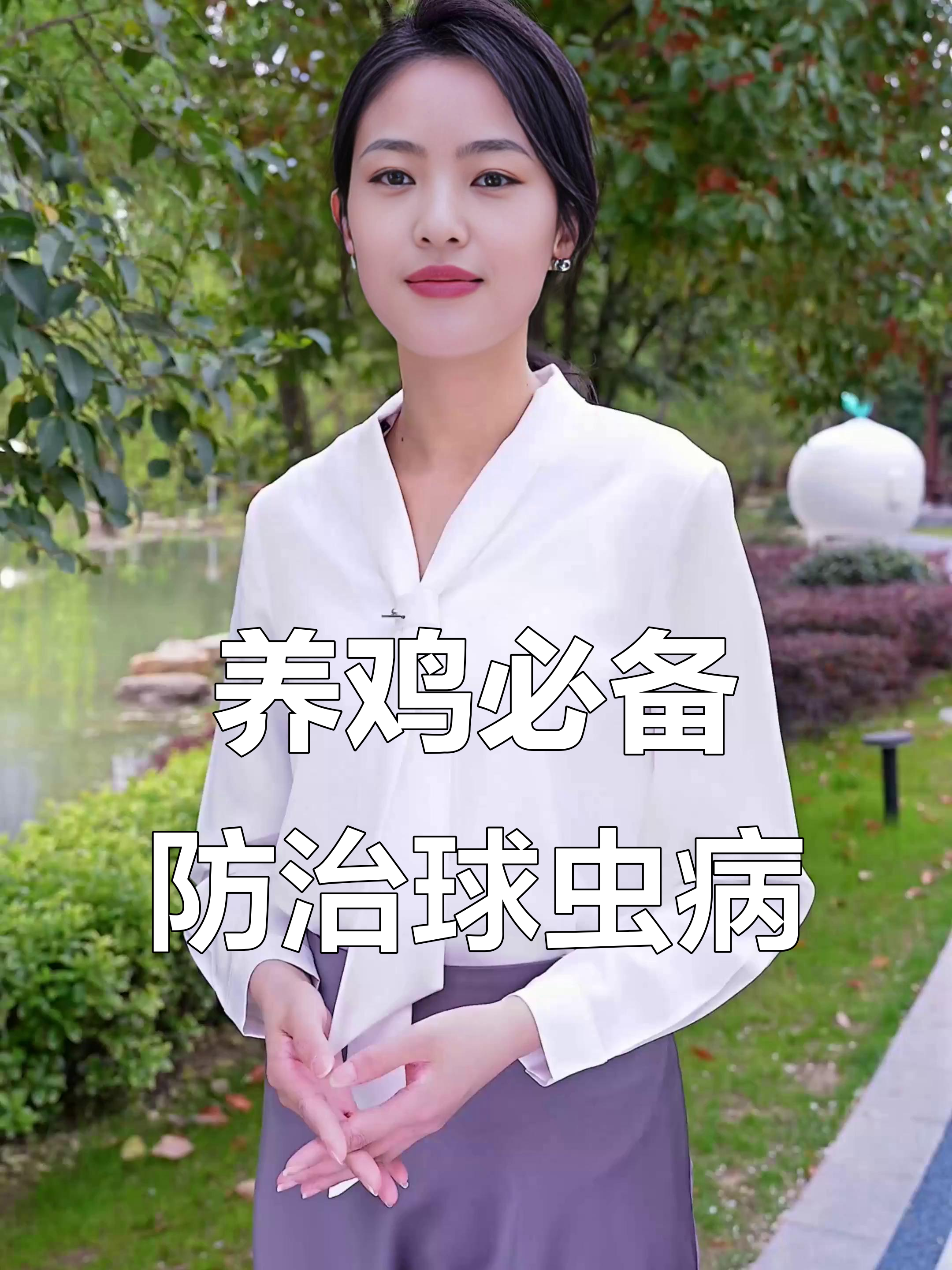 鸡群出现球虫病症状?这些方法能缓解伤亡