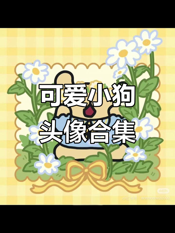 小狗情头大赏,萌态十足!