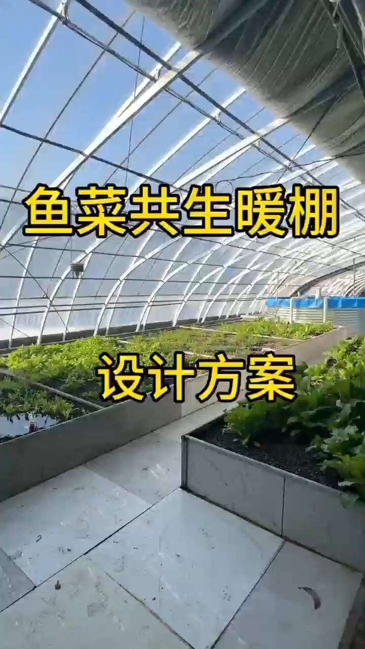 鱼菜共生暖棚设计方案 温室大棚