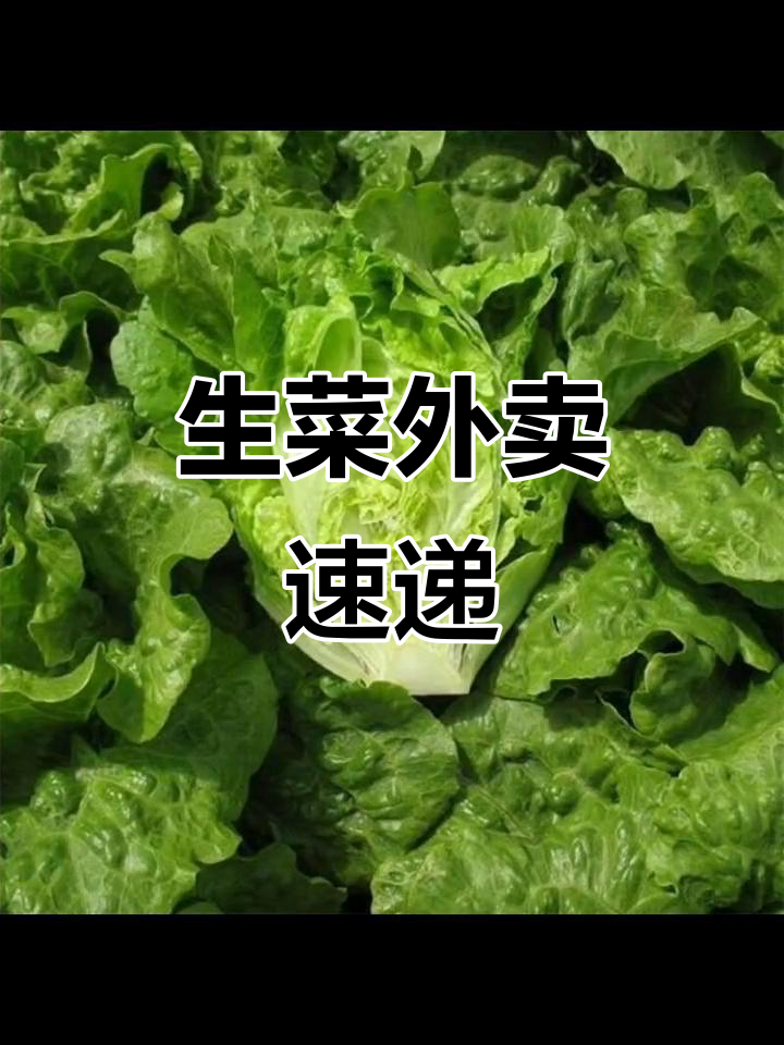 外卖生菜素材,轻松搞定你的订单