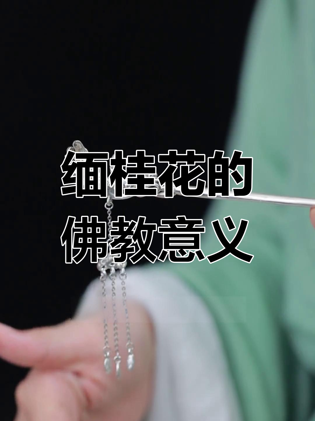 缅桂花:佛家圣洁之花,象征纯洁与超脱