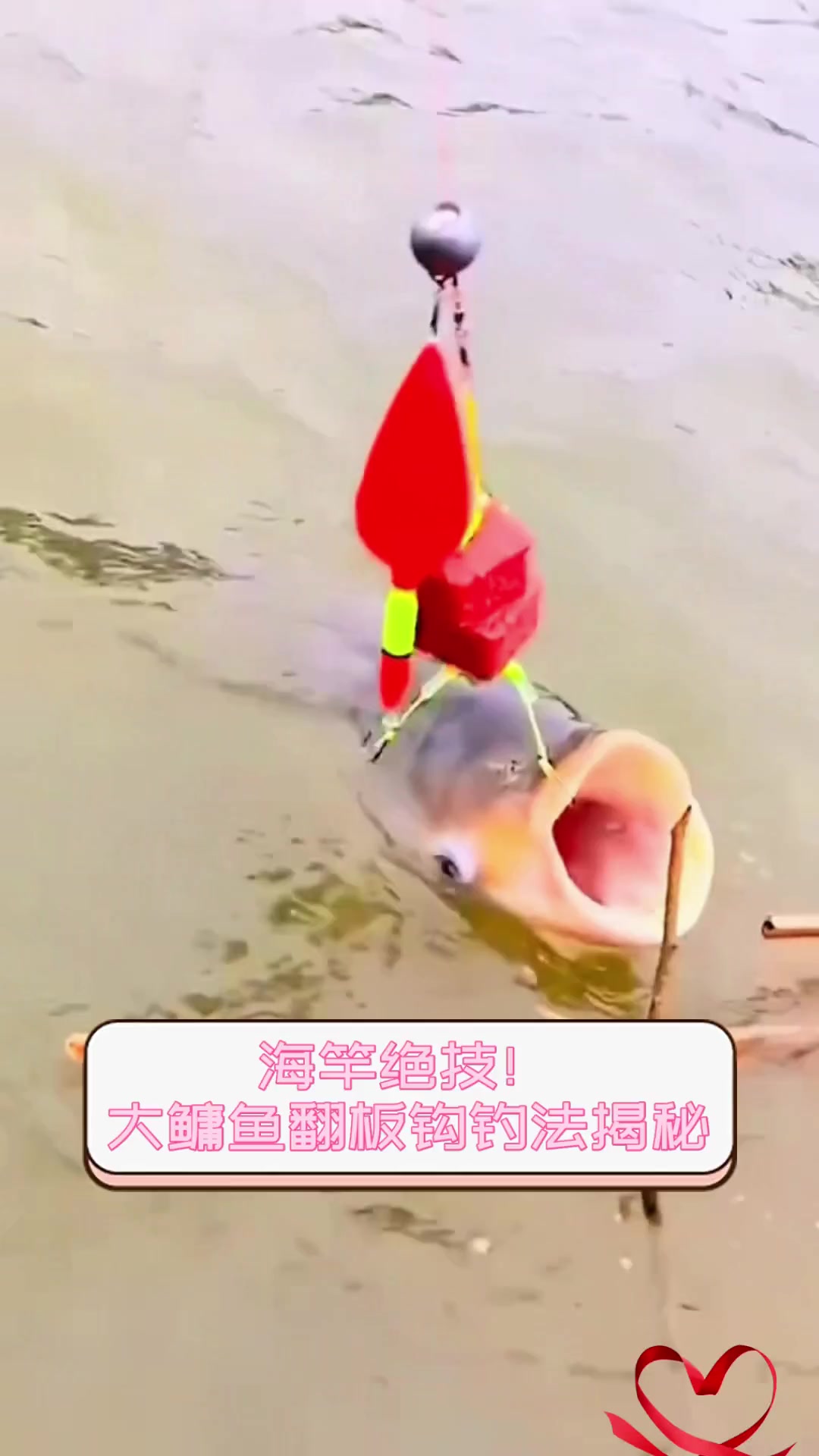 海竿绝技!大鳙鱼翻板钩钓法揭秘