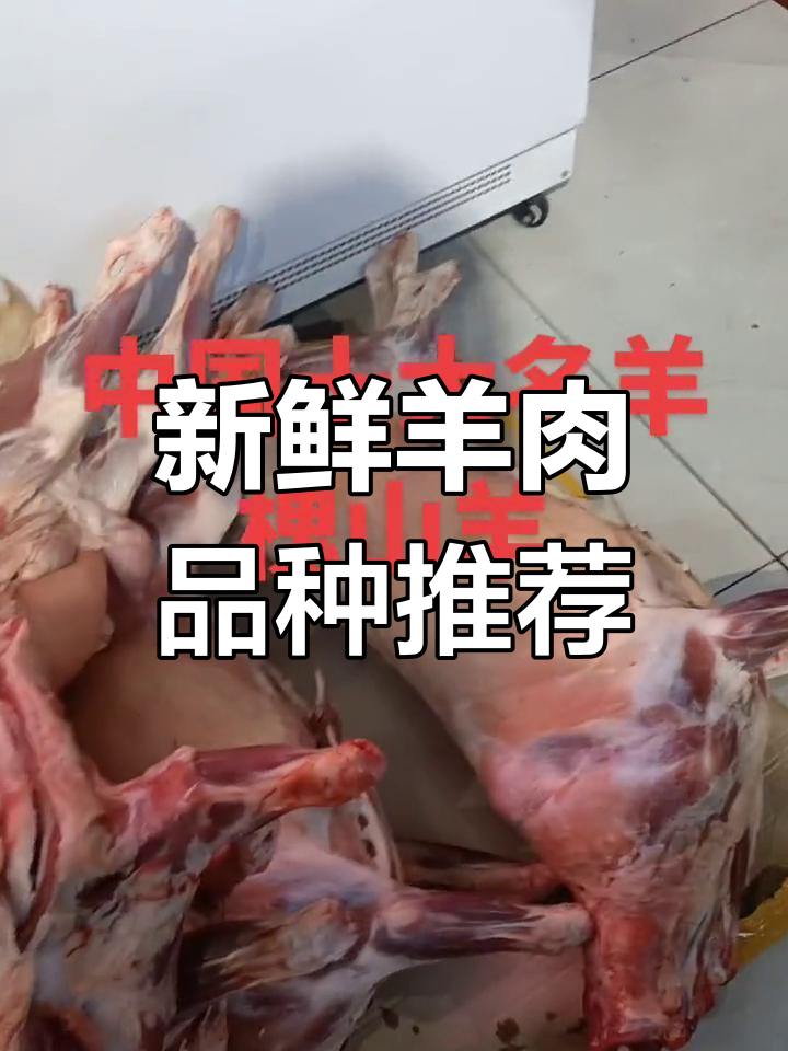新疆、广西等地优质羊肉大揭秘,淮山羊和都安山羊不容错过