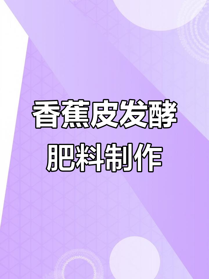 自制香蕉皮酵素肥,简单步骤让蔬菜更健康