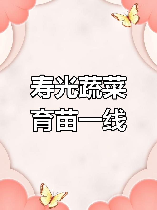 山东寿光蔬菜育苗基地,黄瓜西红柿嫁接苗批量生产