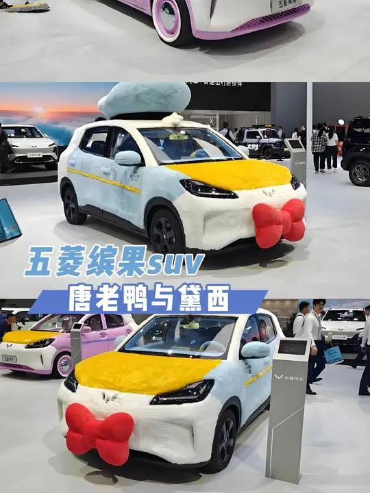 五菱缤果SUV 五菱缤果SUV 唐老鸭与黛西 唐老鸭与黛西 五菱缤果SUV