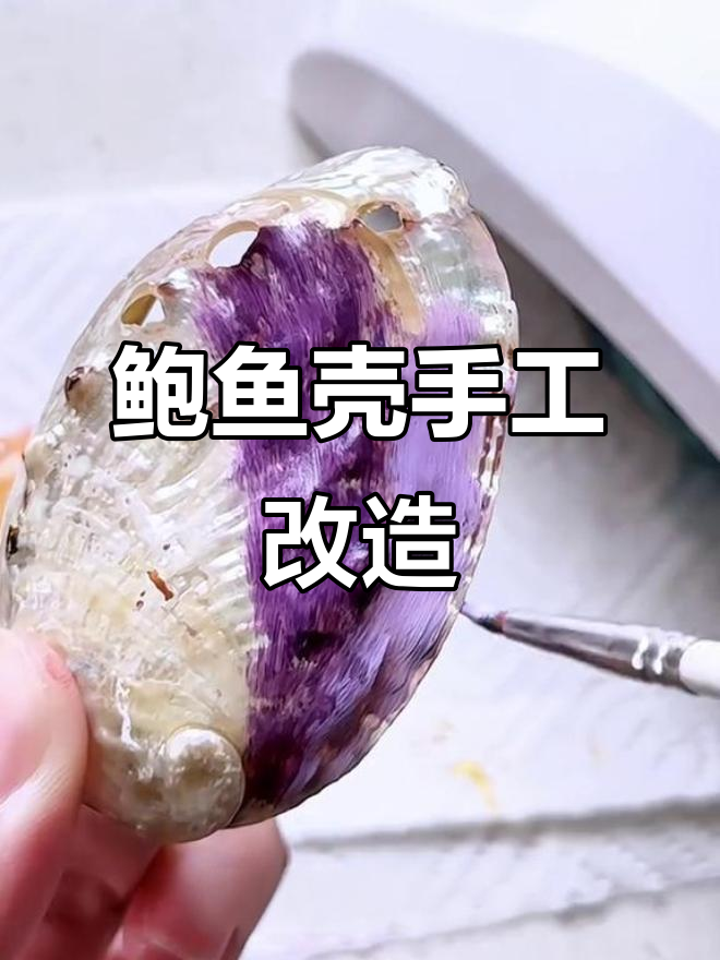 鲍鱼壳DIY改造,创意手工大变身!