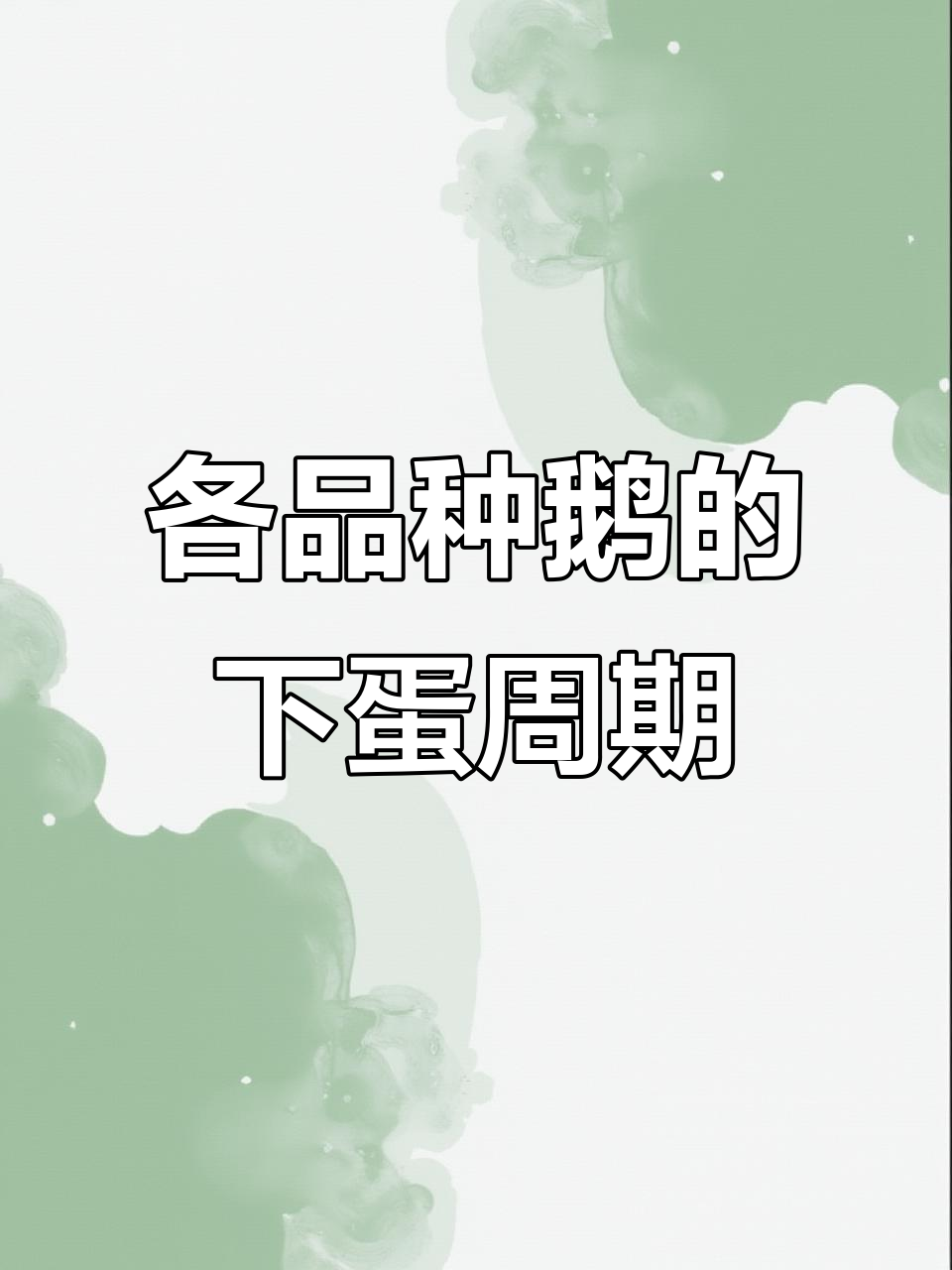 鹅蛋何时能下?不同品种的孵化时间大揭秘