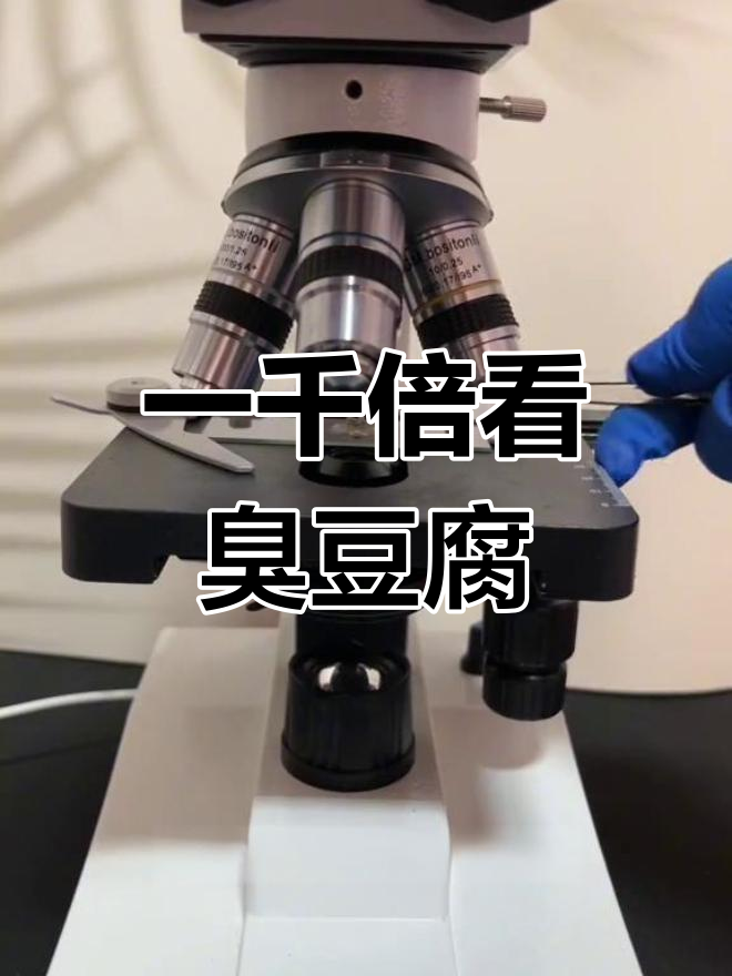 臭豆腐放大一千倍,氨基酸结晶体揭秘!