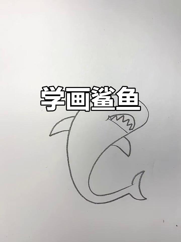 一步步教你画鲨鱼，简单又凶猛！