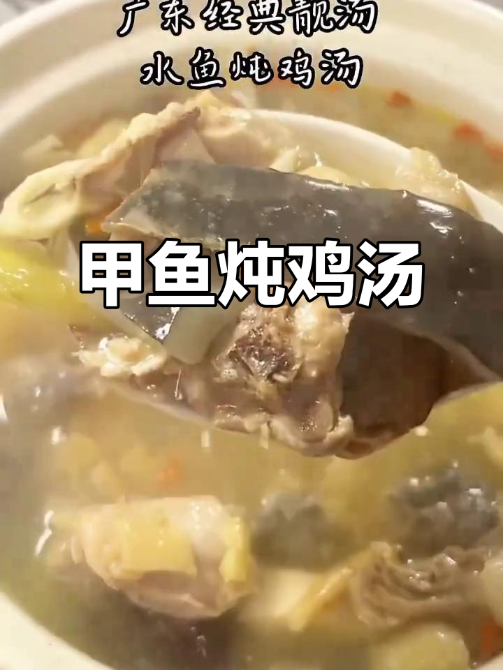 甲鱼炖鸡汤，滋补养生汤，广东经典美味