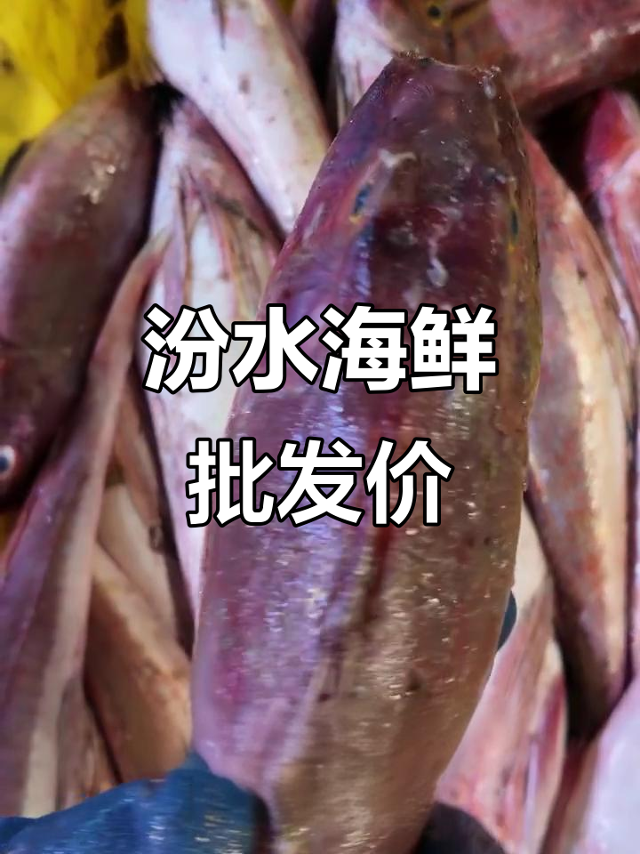 汾水海鲜市场每日行情,高眼鱼到安康鱼价格一览