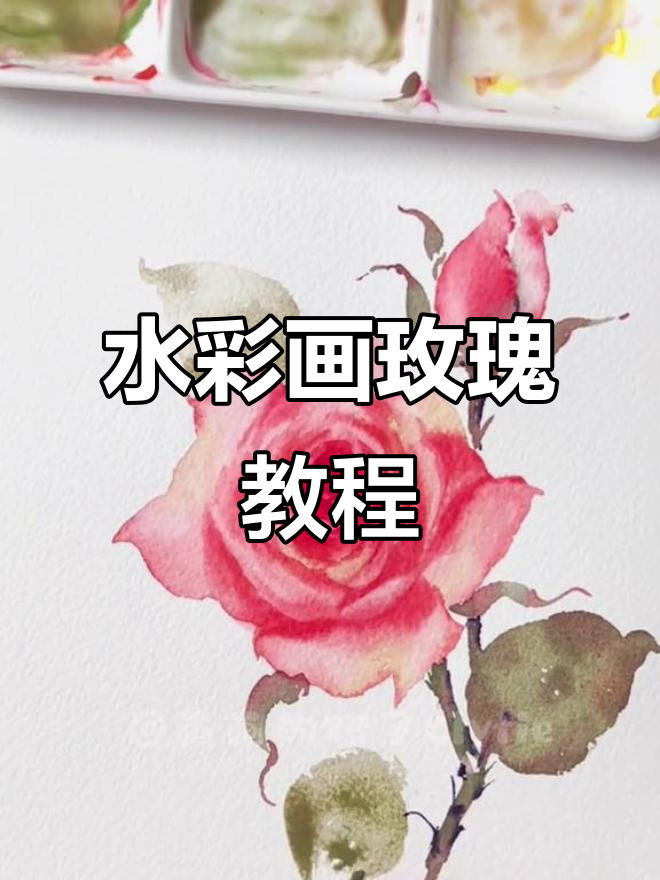 从零开始学水彩,轻松画出美丽玫瑰花