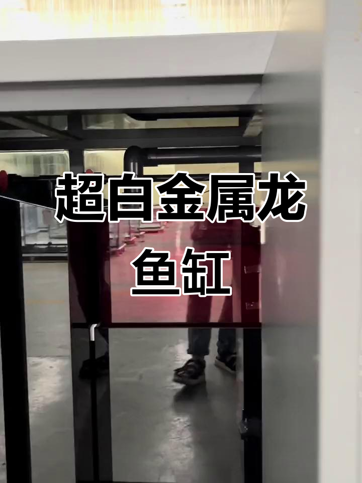 爵士灰龙鱼缸,超白晶氧设计,底滤系统全解析