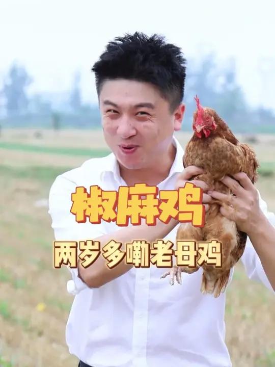 河南特产:椒麻鸡(百草味嘞哦)