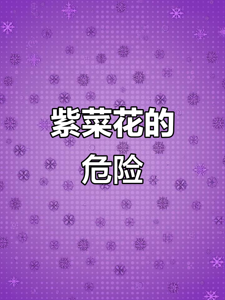 11月1日女子尝紫色菜花,未煮熟腹泻