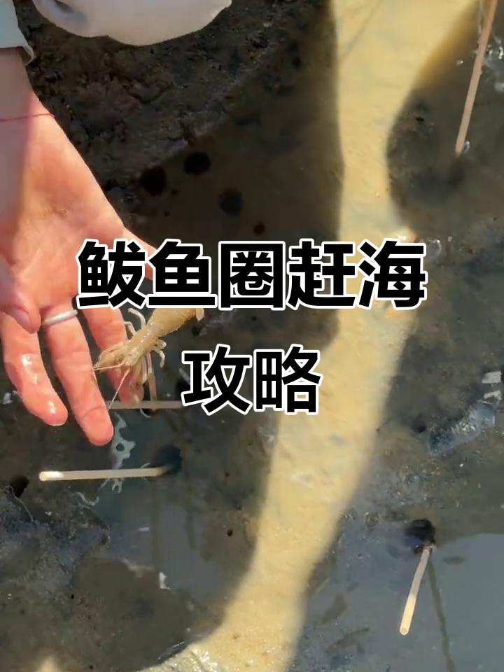 鲅鱼圈大潮来袭，五个免费赶海地推荐！