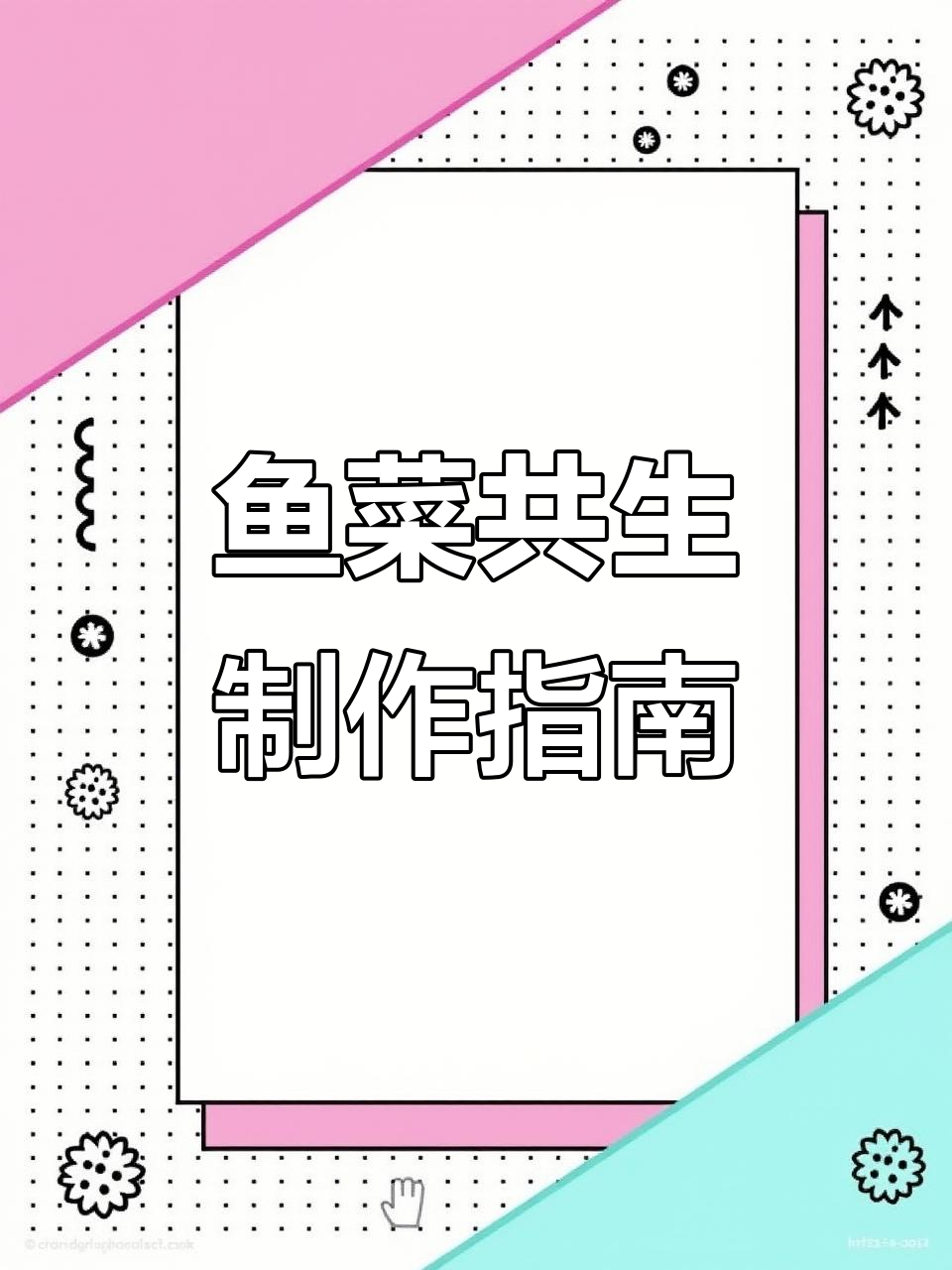 鱼菜共生系统制作全解析，从设计到材料一网打尽！