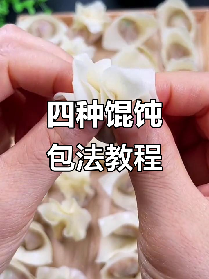 馄饨四种包法,轻松学会元宝、金鱼抄手和三角馄饨