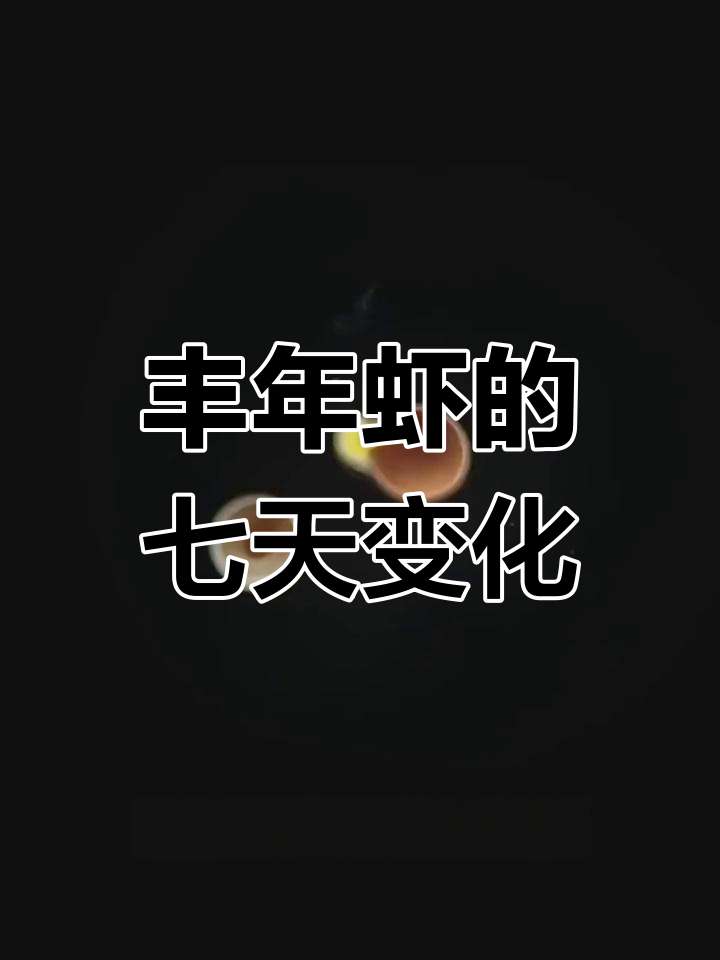 显微镜下的丰年虾成长记录