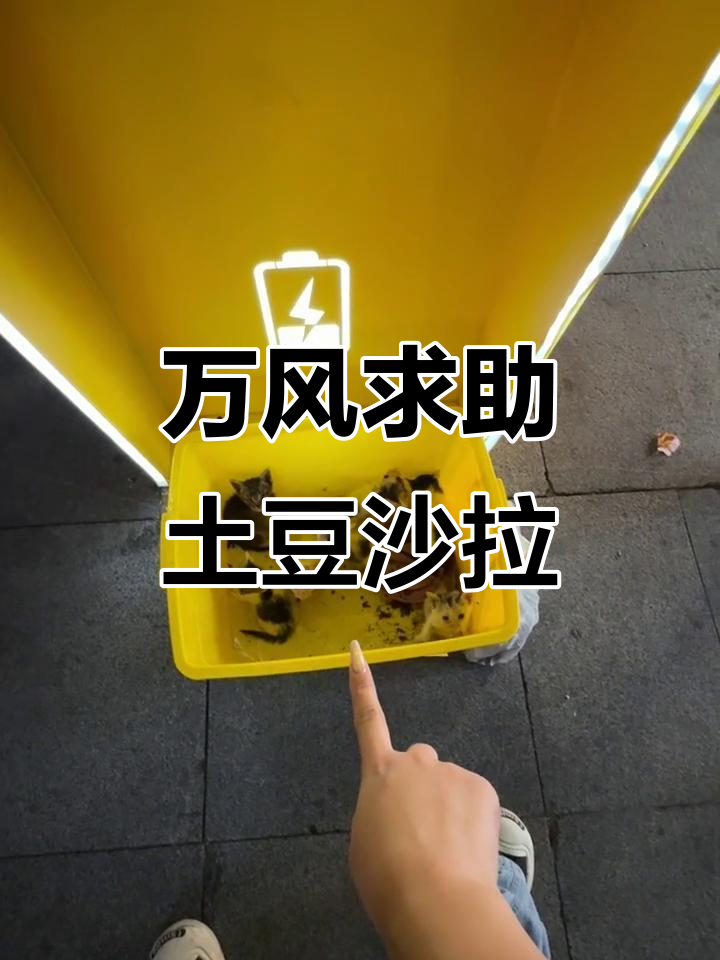 求助!土豆沙拉怎么过关?小么女儿来帮忙