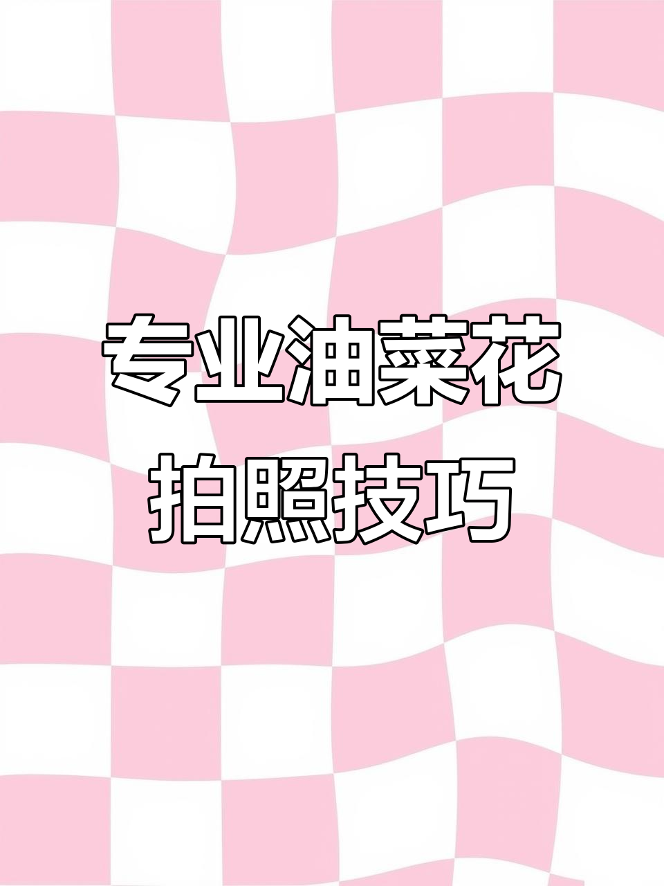 油菜花田拍摄秘籍,专业摄影师教你如何拍出美照