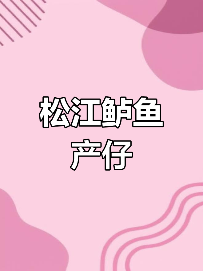 松江鲈鱼带宝宝现身海滩,赶海抓海鲜的惊喜时刻