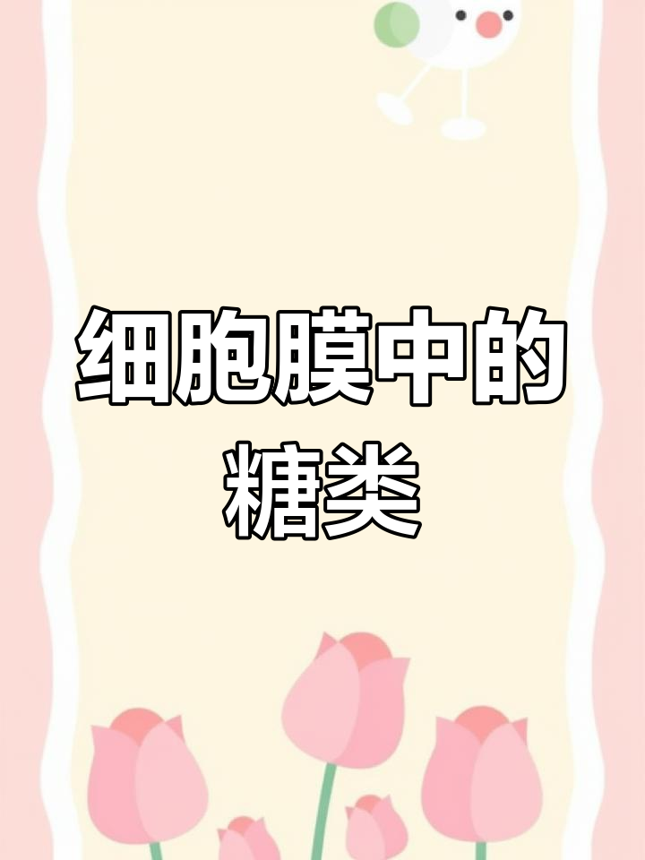 细胞膜糖类的种类与功能