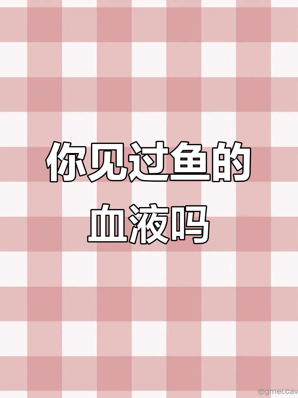 为什么鱼的血你看不到?揭秘鱼类血液循环的秘密