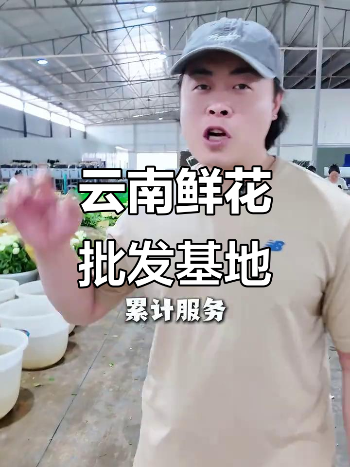 云南前三鲜花批发基地,直供花店与婚礼需求