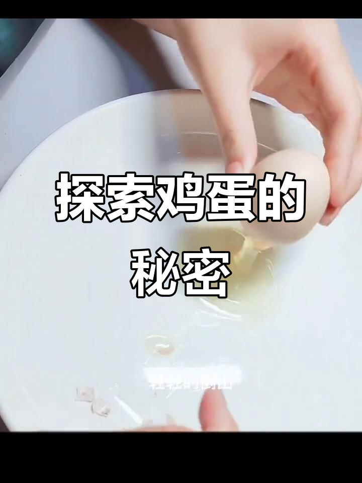 揭秘鸡蛋内部结构,原来胎盘是这样的!