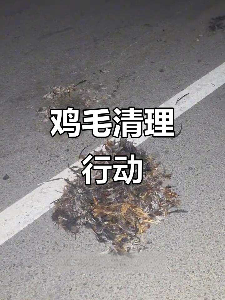 路上鸡毛乱飞,埋掉它们更环保!